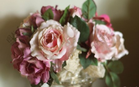 高清摄影玫瑰花朵图片