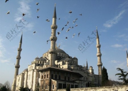 清真寺伊斯坦布尔图片