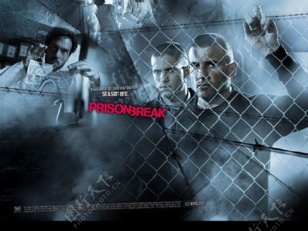 PrisonBreak越狱壁纸图片