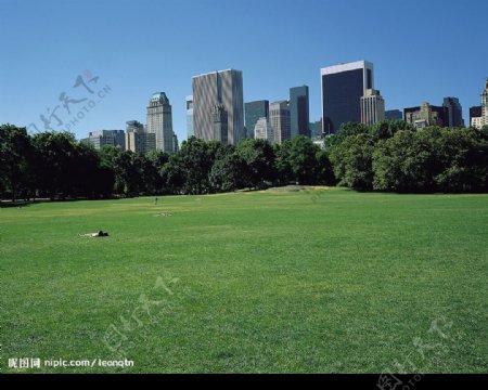 美国中央城市公园图片