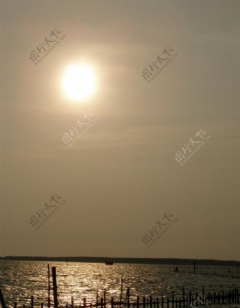 潟湖的夕日图片