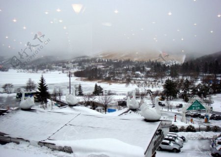 白樺湖的美麗雪景图片