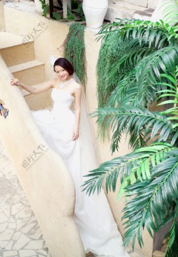 婚纱艺术摄影样片美丽新娘图片