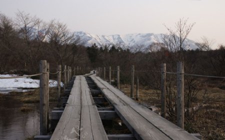 雪山木道图片