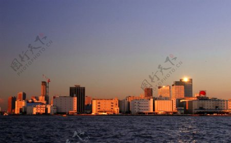 東京灣岸图片