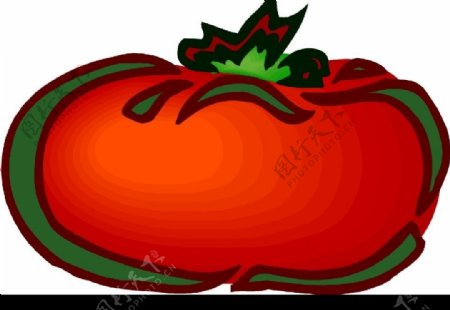 水果番茄矢量素材图片