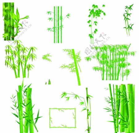 竹子图层图片
