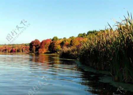 秋天的河图片