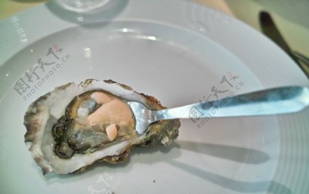 法國海鮮大餐中的生蠔图片