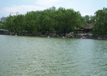 未名湖景色图片