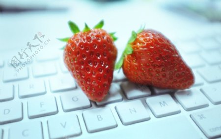 草莓键盘图片