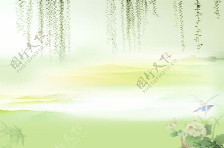 柳树花背景素材图片