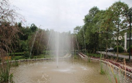 公园喷泉图片