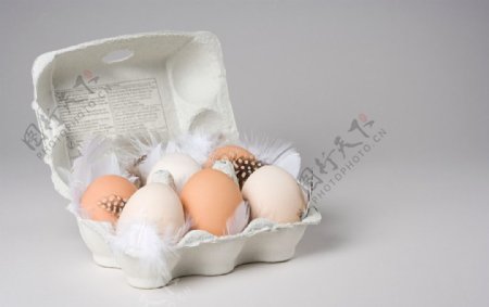 鸡蛋素材图片