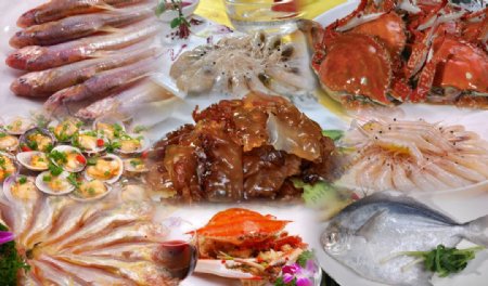 江海美食海鲜菜图片