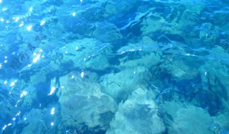 波光粼粼的蓝色塔霍湖图片