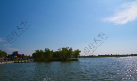 湖中岛图片