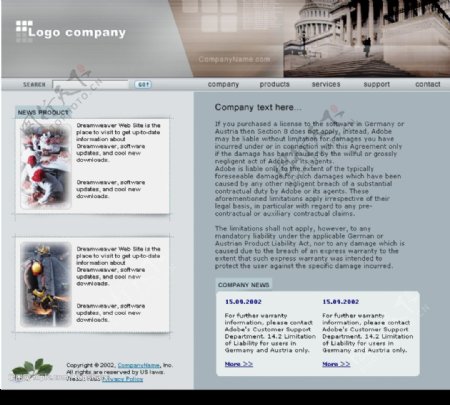 欧美外国英文网页公司模板蓝网站图片