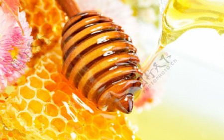 蜂蜜甜蜜液体蜜糖蜂巢图片