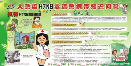 禽流感H7N9板报图片