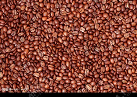 咖啡豆纹理图片