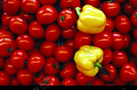 小番茄黄辣椒图片