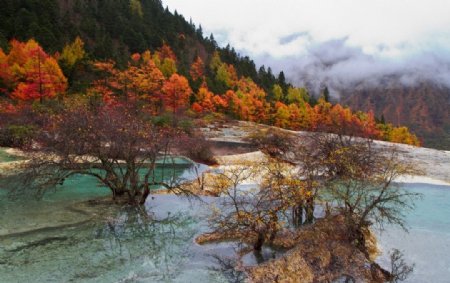 黄龙图片