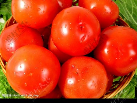 蔬果西红柿图片
