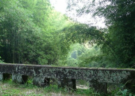 竹林石桥图片