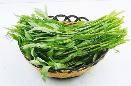 竹叶菜图片