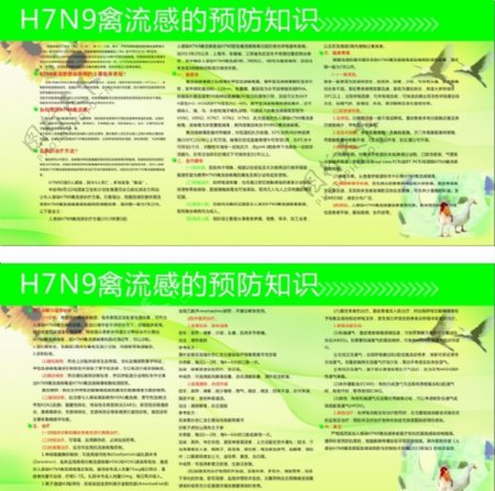 N7H9禽流感宣传展图片