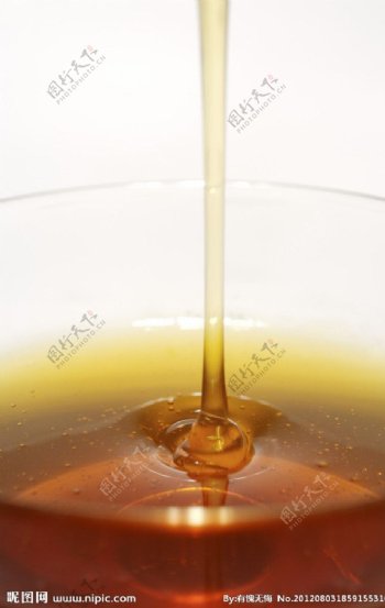 蜂蜜蜂浆图片