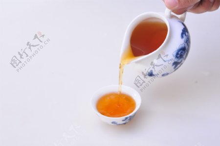 泡茶到茶图片