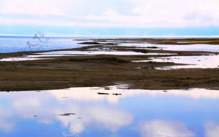 青海湖风景图片