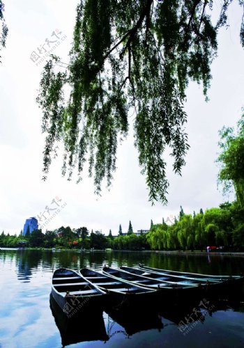 杭州市华家池风景图片