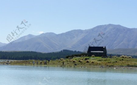 新西兰之蒂卡波湖和湖边教堂图片