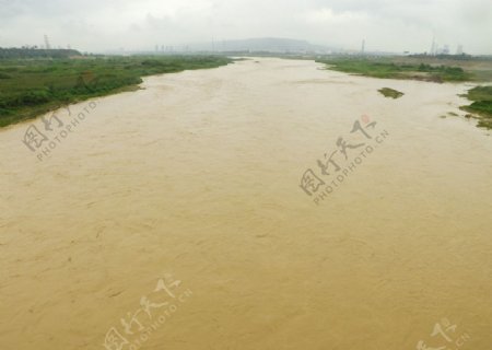 雨后的渭河图片