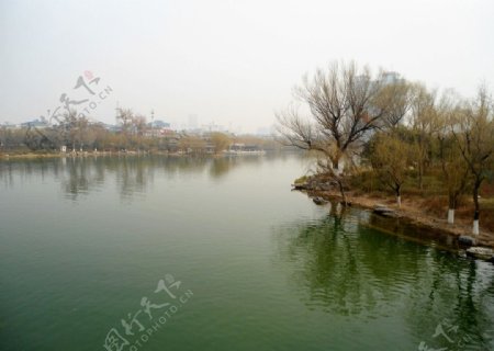 柳树湖图片