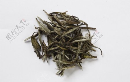 白牡丹茶叶名茶中国名茶图片