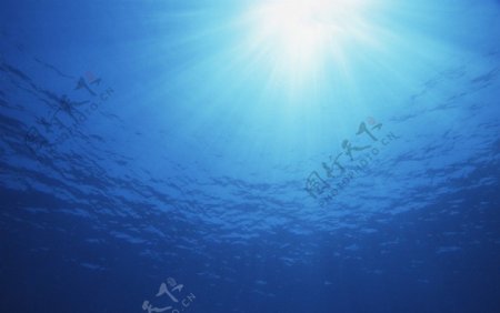 海底阳光图片