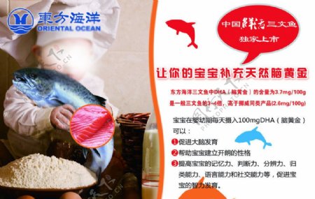 东方海洋三文鱼幼儿宣传展板图片