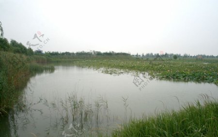 洪泽湖景图片