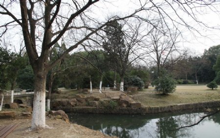 自拍的高清公园风景冬季的湖边小树图片