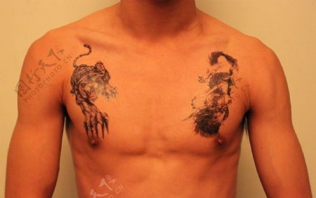 人体纹身图片