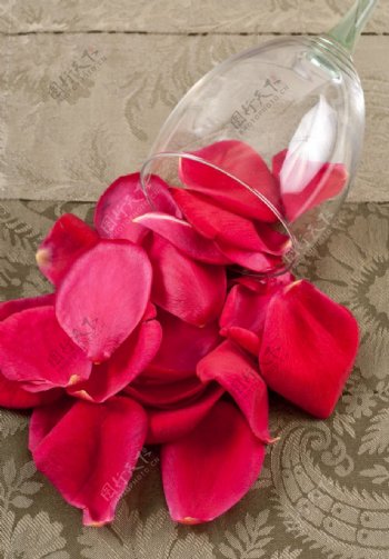 玫瑰花瓣和酒杯图片