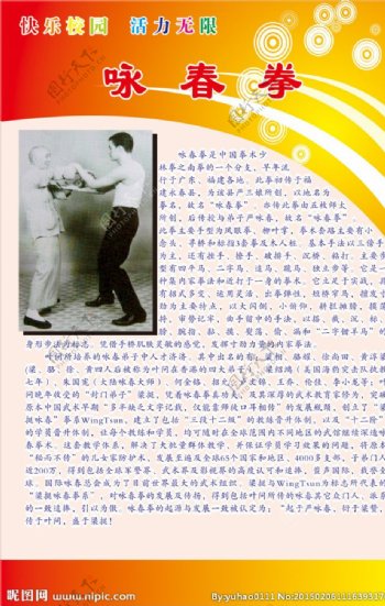 中国传统武术之咏春拳图片