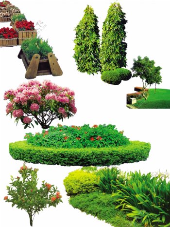 绿色植物花坛图片