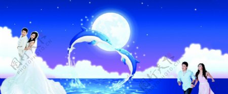 蓝色浪漫海豚背景图片