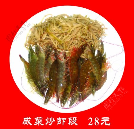 咸菜炒虾段图片