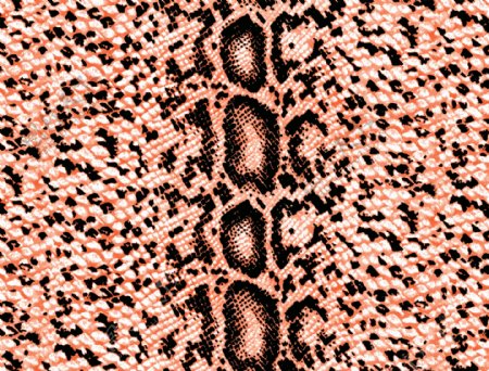 蛇皮蛇纹印花图片